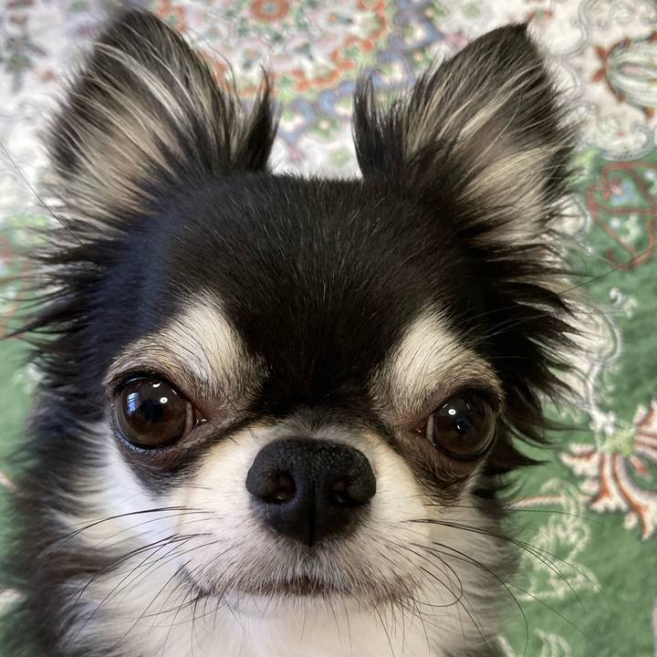 1e3d59f1 9746 48ee a598 162934bdfb79 1660173330837