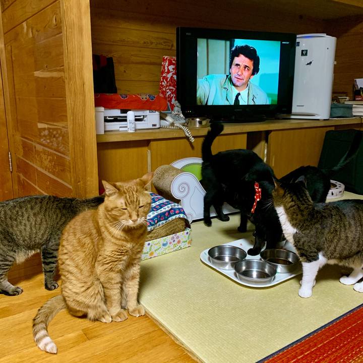 1e3dbb6b 37c9 4f1a b08d d7c2fb7ec064 1597839632262