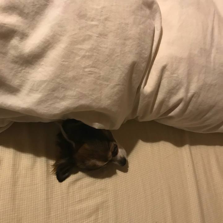 1e3dfe1f 289f 4281 8987 b47d68c6c70c 1523977036625