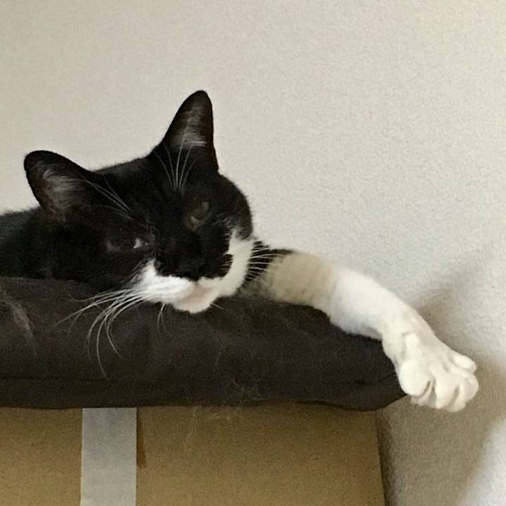 1e3e165a f51c 4845 92a7 fa43dd38665e 1569243571920