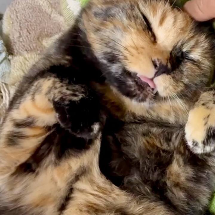 1e3e26cc 7583 4f8c 833e 8e7b08c42c36 1752525936004