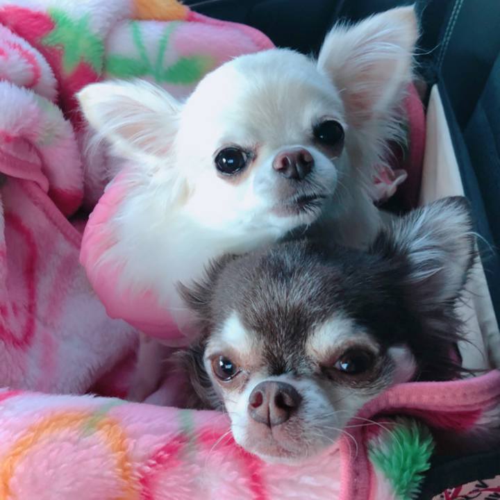 1e3e4cc8 e658 490d b9d8 d550591bd018 1575166735735