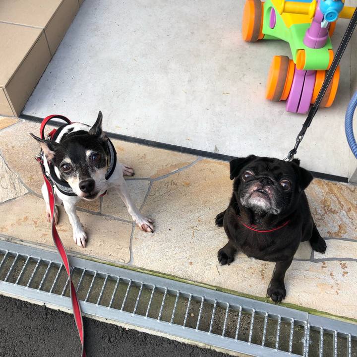 1e3e5396 ff56 46cc 8990 a5b59893025b 1564442891530