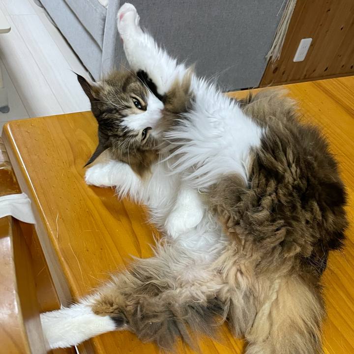 1e3e6613 a283 43ea 8d1d 17ecfab98b76 1677267750502