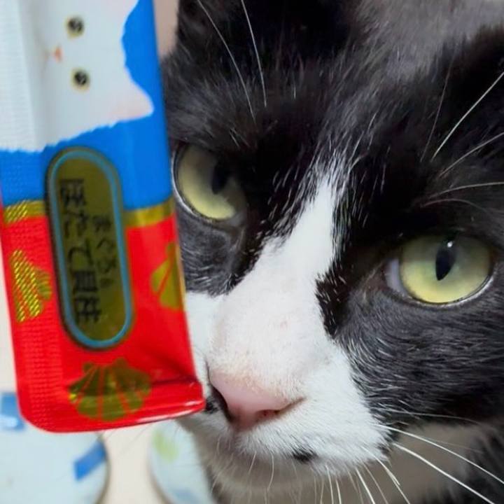 1e3e69f8 f2dd 4b11 b817 6d2290a9cac6 1746609676504