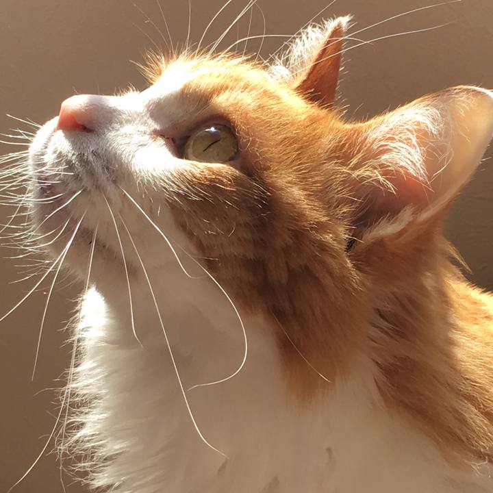 1e3e97cb 7e64 4e6d 8a0c e0fa625d5e6a 1574854595745