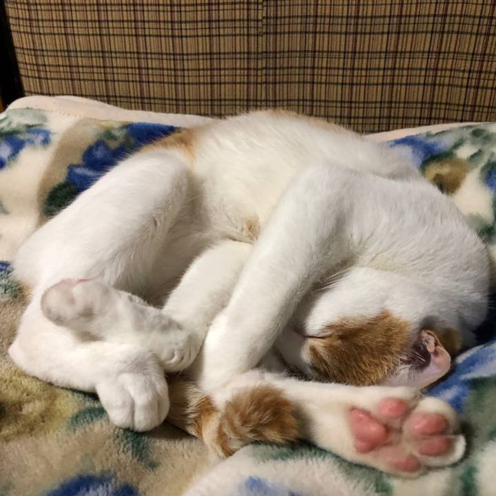 1e3ea4da 702c 4cb4 9bbb de93147b8830 1562501184817