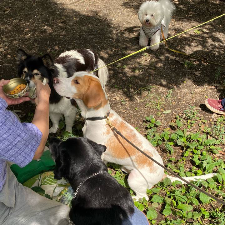 1e3ea9f3 7b4e 4546 87d9 e35cd9de5080 1631005134261