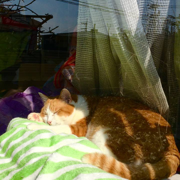 1e3f56da 9a8e 42f9 836a dd458fef0052 1615782290479