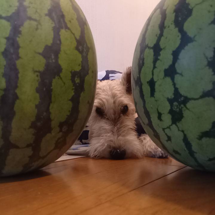 1e3f8005 1c69 4745 9bca 6ef381ac2bca 1627691540605