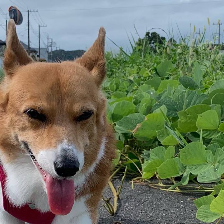 1e3fb3f5 969e 4994 819f 65816d4e214e 1723770233612