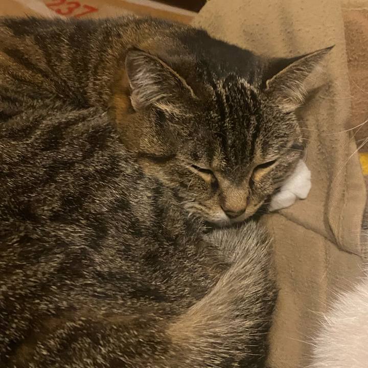 1e3fc34c 0909 4cbf 8dfd a102b8c96435 1714786828372