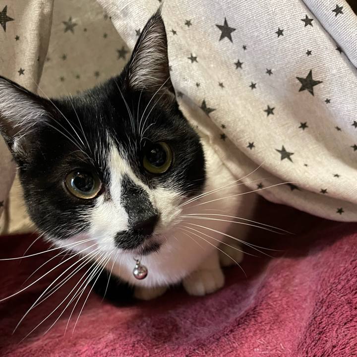 1e3fcfd5 5678 41f8 a5d3 fc568ee457f3 1766616875316