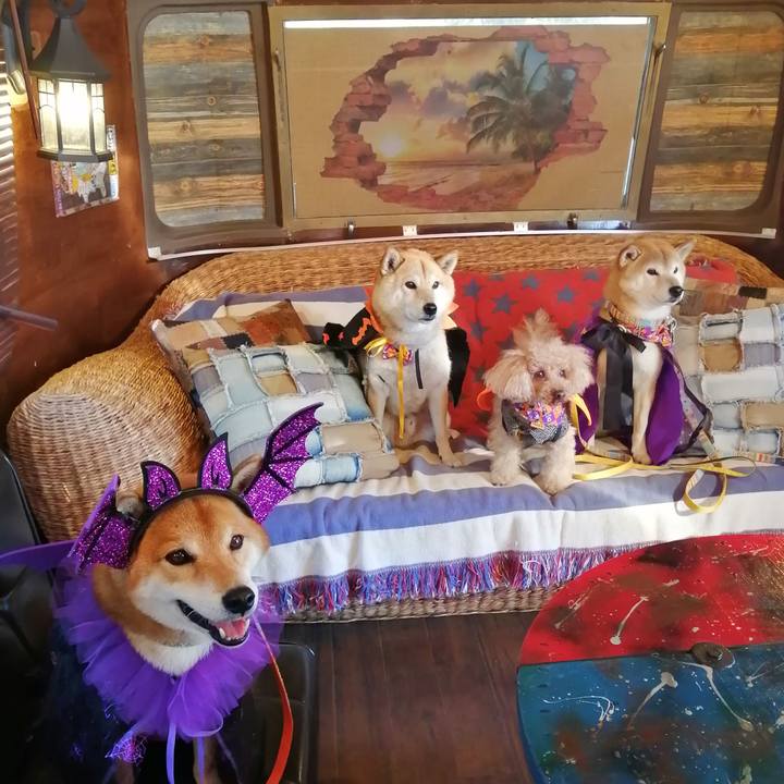 1e3fe82e 9f3f 4aae b0b3 a58163558c39 1635598852357