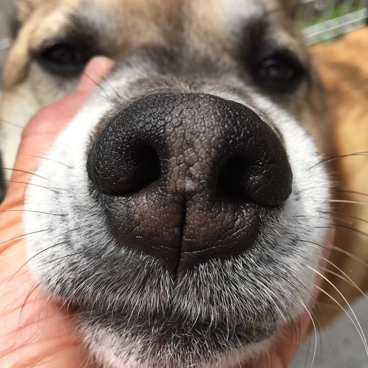 1e3fed97 3c25 4d36 8746 72d02fea0ed7 1523497671771