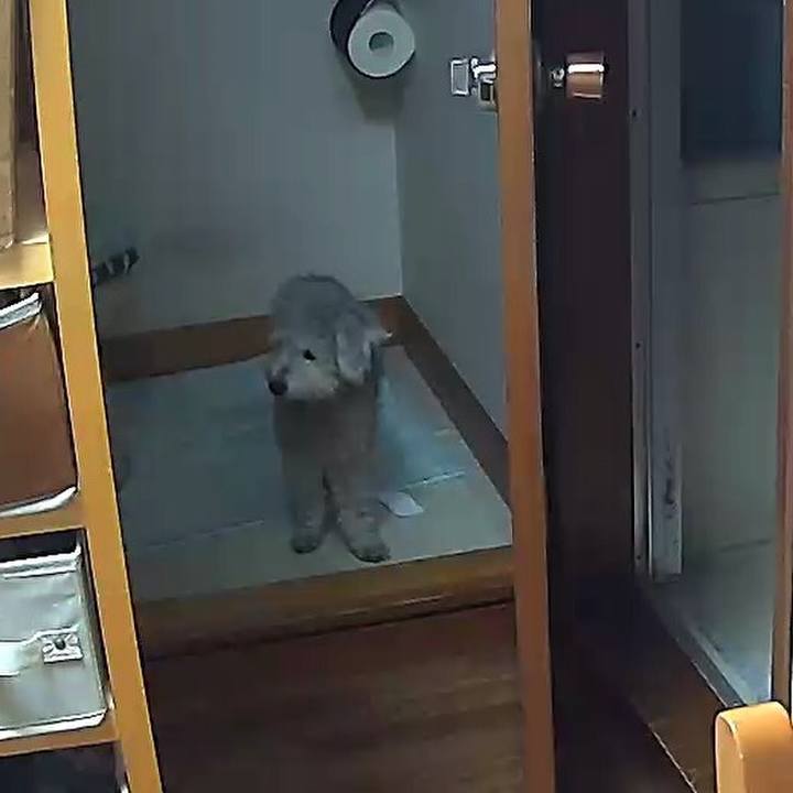 1e3ff5e4 afe7 49df 8b31 77e9a960b081 1638869422591