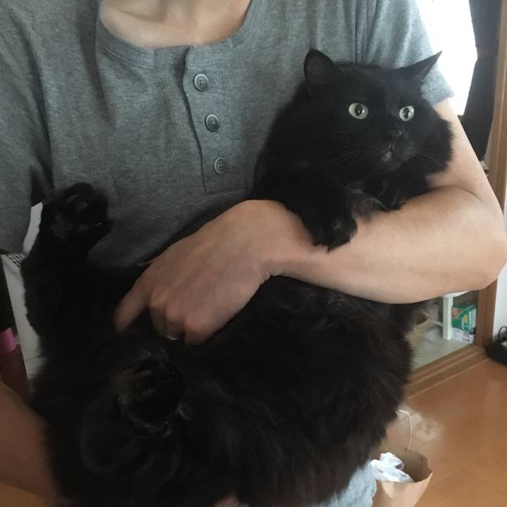 1e405ed4 42ad 4f2e b72f b2664ee9984e 1534375824433