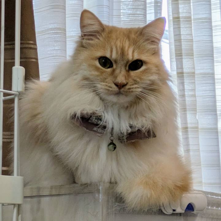 1e407008 09b7 4160 b55b eab8e3701ebd 1744620919164