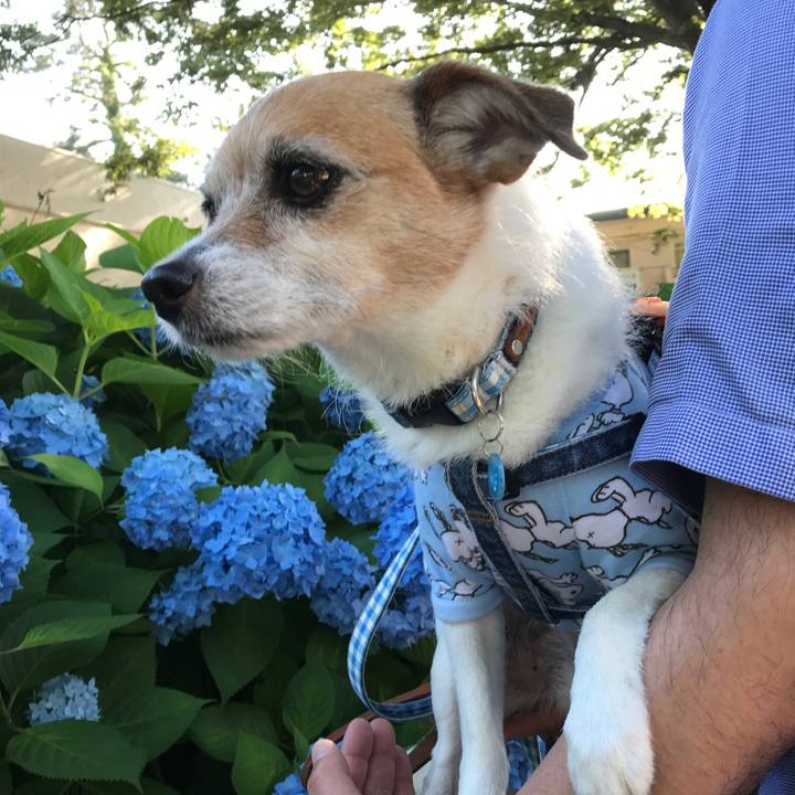 1e40a29d 711d 47b8 89ed c3dbbb229538 1591523414312