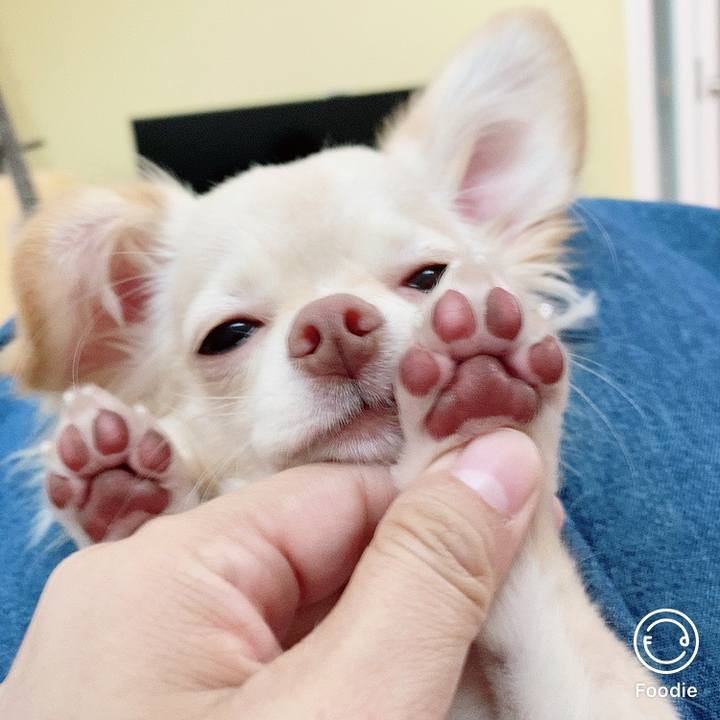 1e40be3c fe80 450a 8703 1d2fd8f45d1a 1603863477371