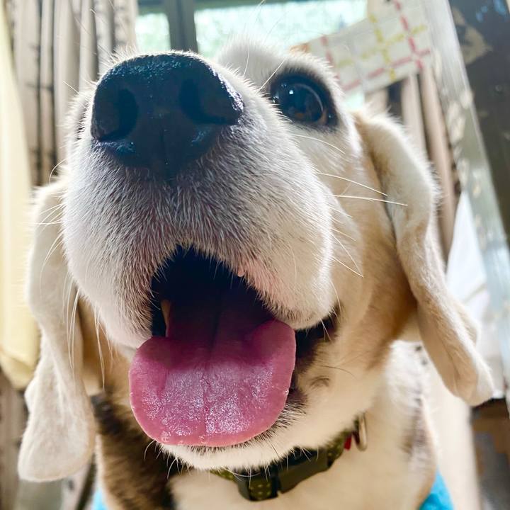 1e40fb7d 43d8 4ba2 9628 975e21bb20c4 1648179757677