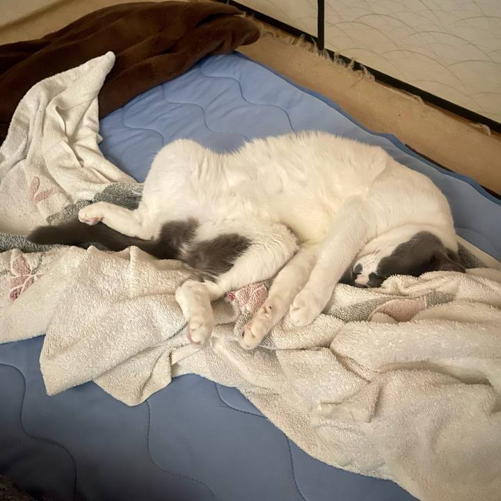 1e414b2c fb09 4e3b be4c da6ac350da39 1689810421195