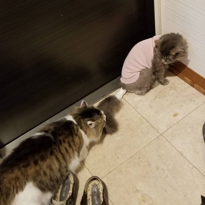 1e416965 ab75 4edf 91c2 81565aa9ecfe 1561151093032