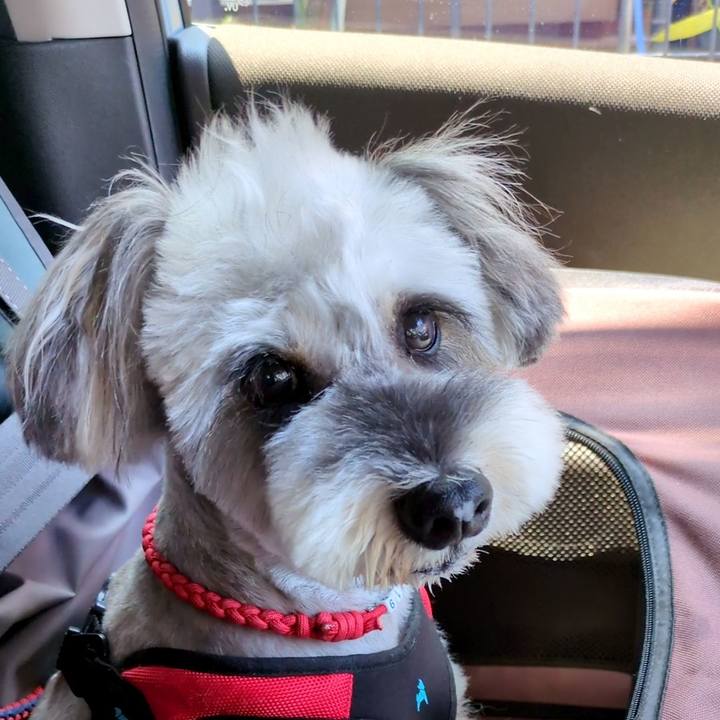 1e416ff8 54e3 4082 998c da6fb33f14b3 1755580168320