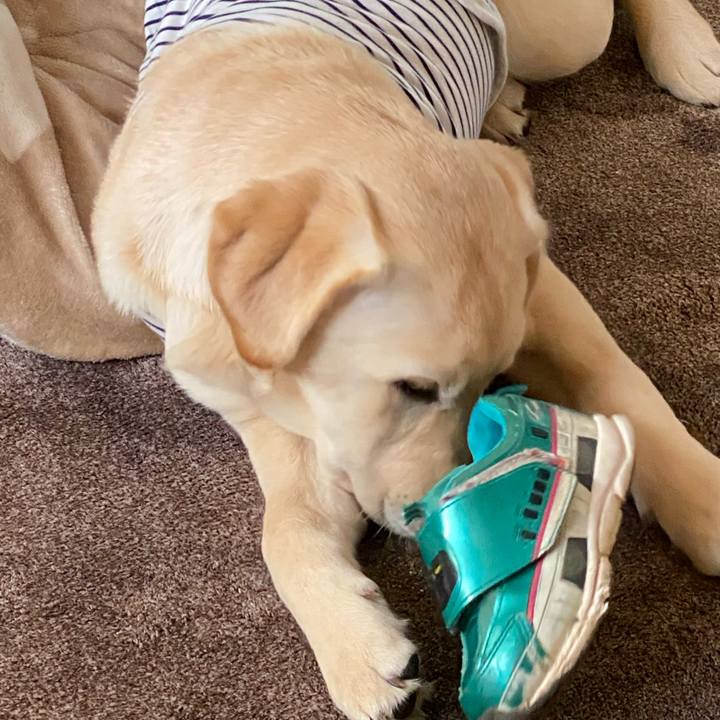 1e4179d0 3eeb 45f6 995f 19b73e0fe075 1616713967125