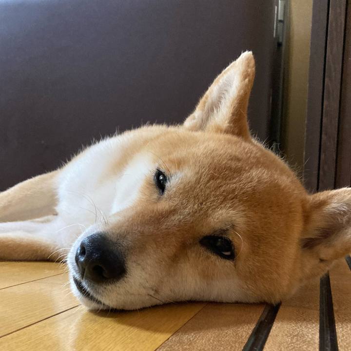 1e41d976 5a04 49c5 ad4c b24fa1372605 1656717827090