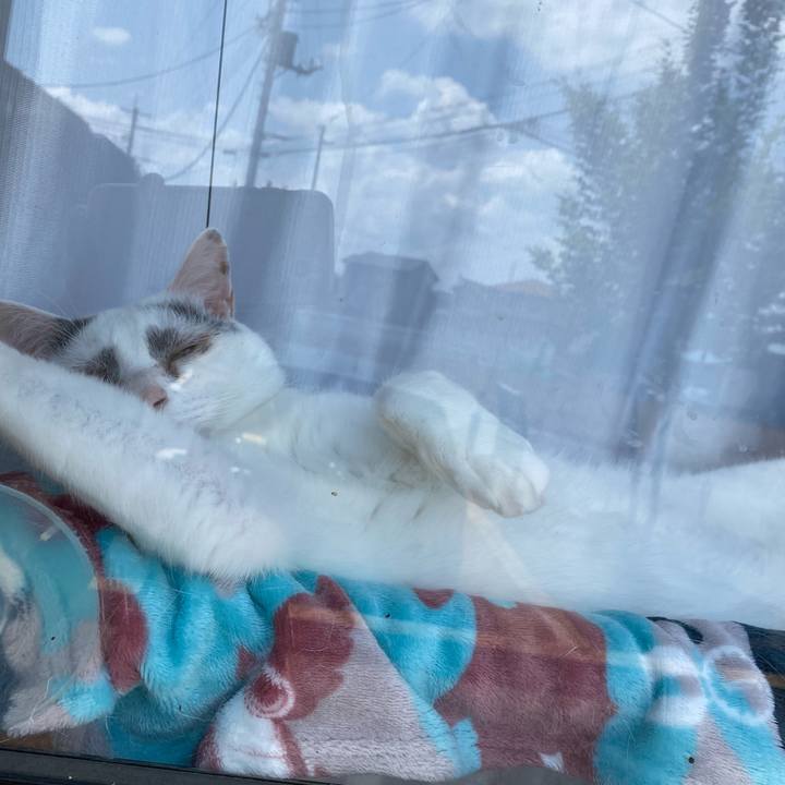 1e41fcf1 5d66 4d0e bdd1 da5c3e23a709 1622442075524