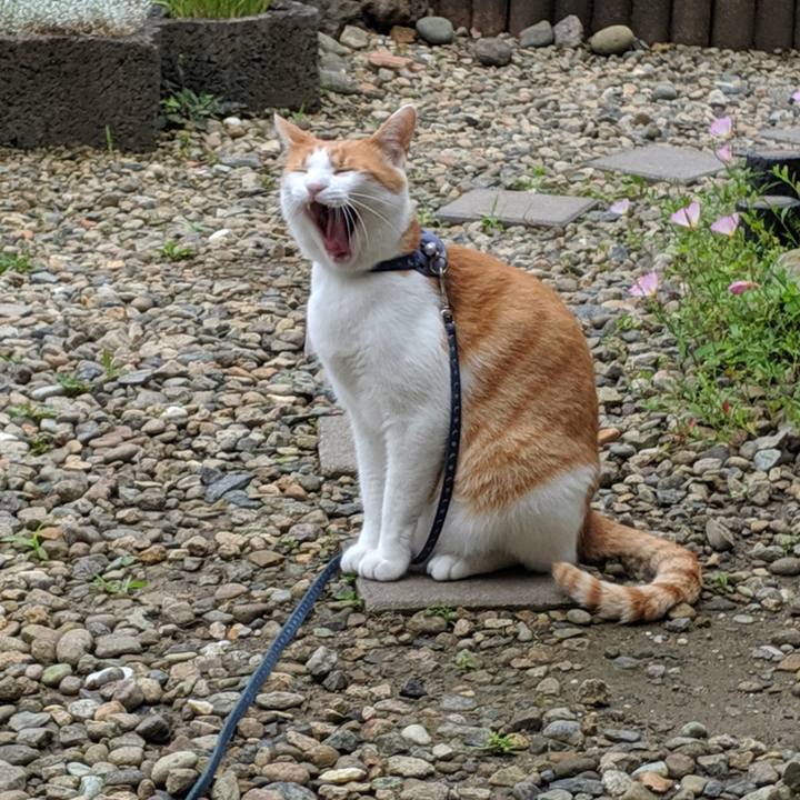 1e4206a6 4eb1 417e b266 85af473fc336 1562364234007