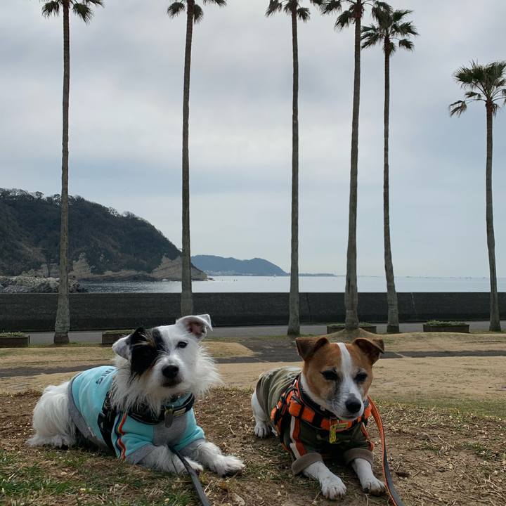 1e421095 8eb2 4c6c 8131 33ae62c444b1 1581733176644