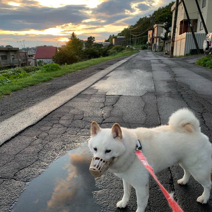 1e424373 082f 409d 9f34 afddb17f486c 1600635881579