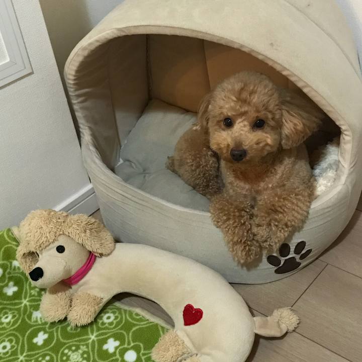 1e42600b b636 4c53 adc7 3ed6136f4459 1519904605933