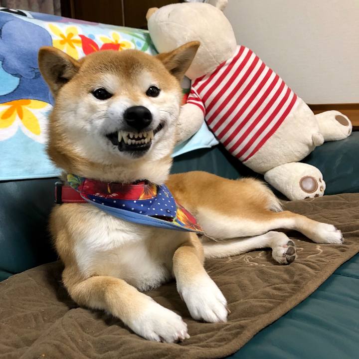 1e426bf2 82a2 416b 903e a3b380637be9 1546687081756