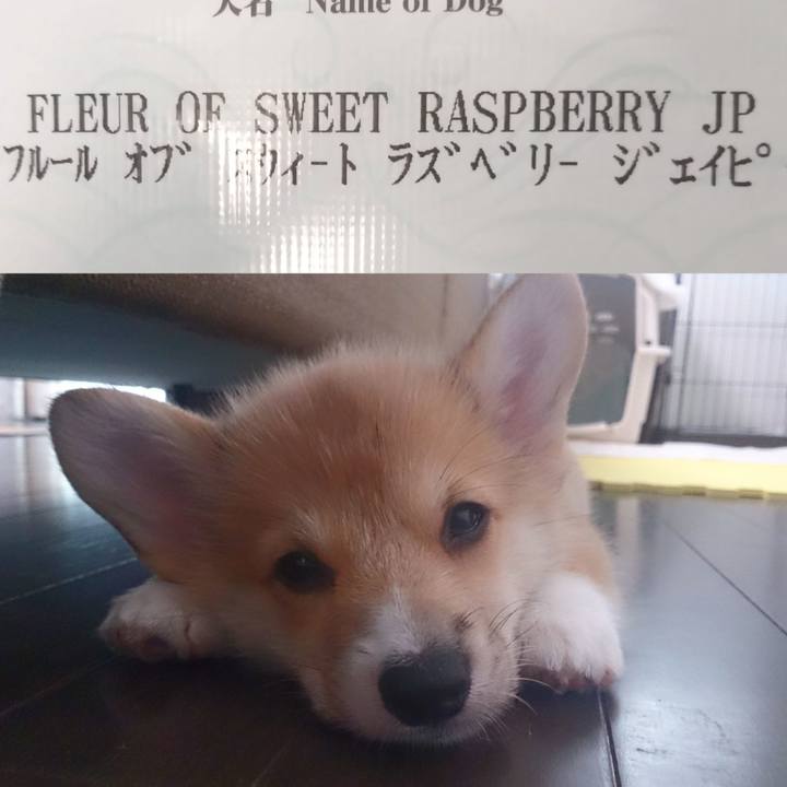 1e428ad8 c14e 4185 863f ee4c6198b399 1534655934989