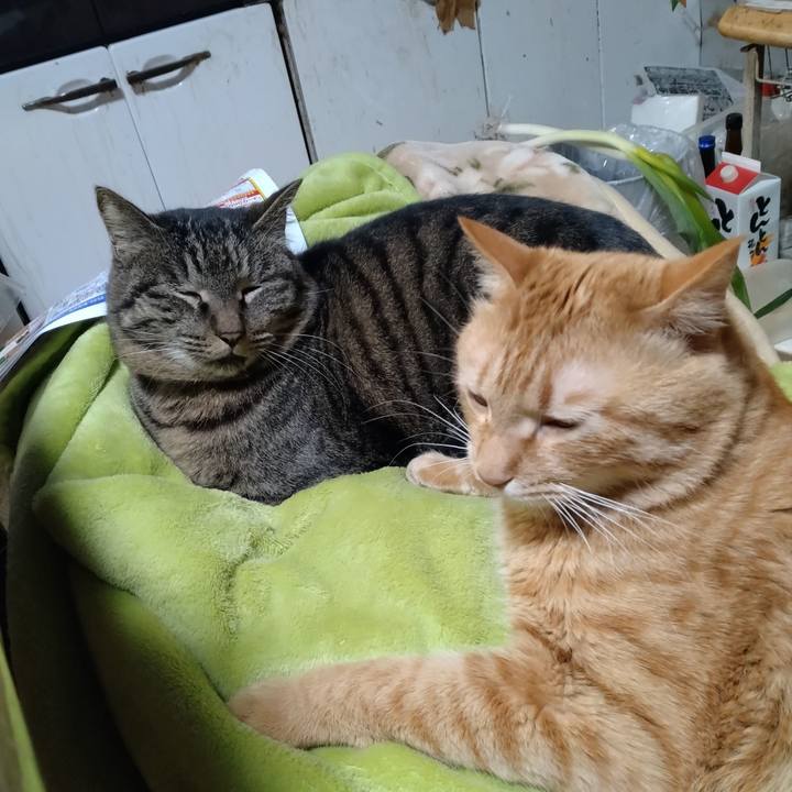 1e429166 6b19 433e a9fb cecff9658bb5 1675844165912