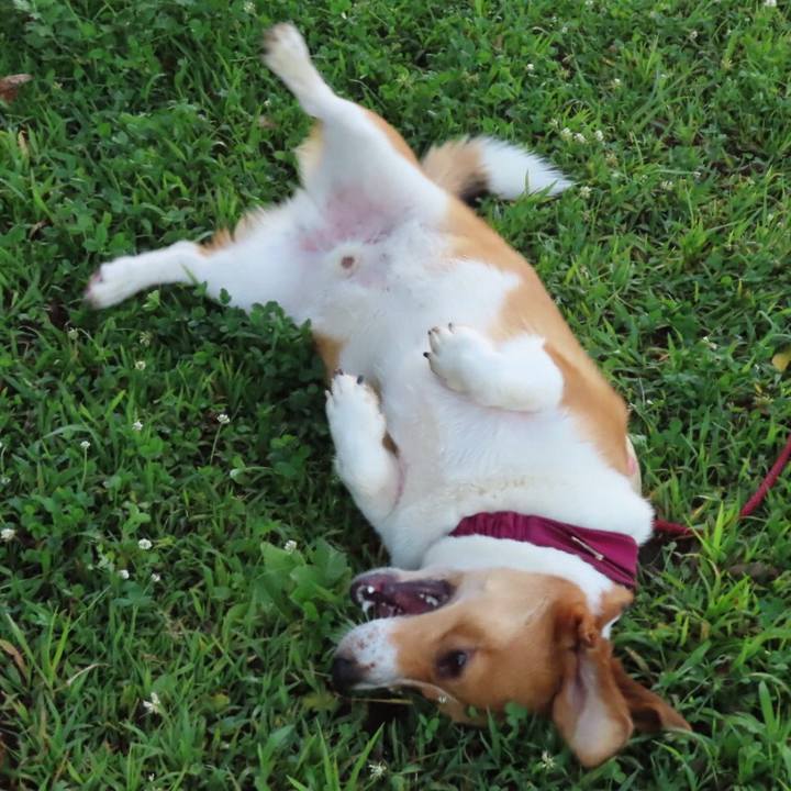 1e42ceb1 1f79 4563 9240 e7f8d66b7e9c 1629937605979