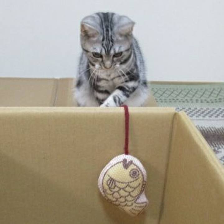 1e42f873 34e3 4068 a978 7eb5643b3074 1538710232667