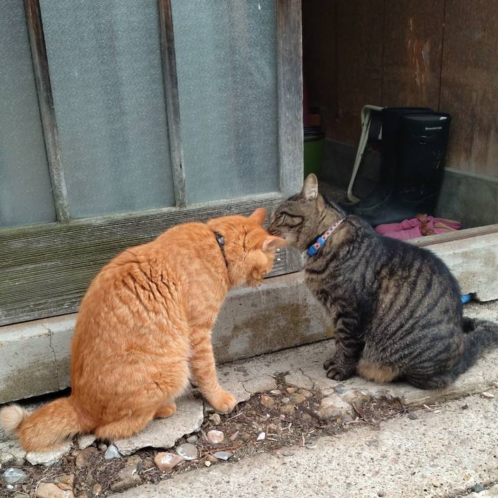 1e43153f c341 4981 867a ac40f442536f 1694644625274