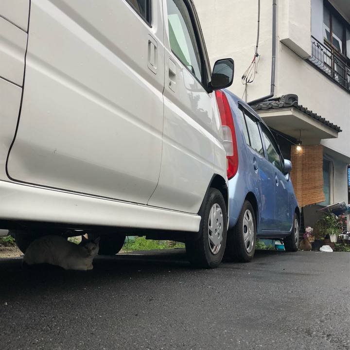 1e4324a2 1c5f 44e7 b1e6 978fdea504dc 1563106896947