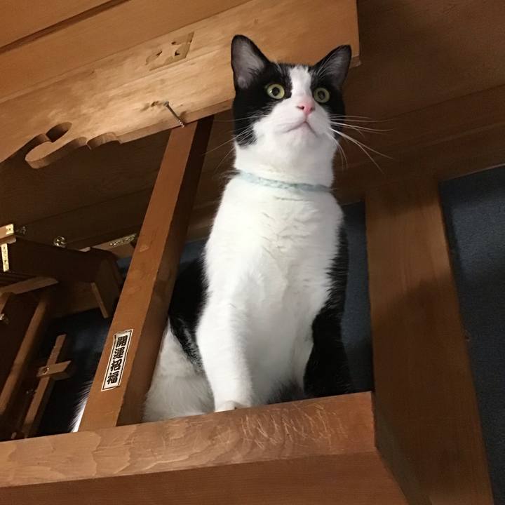 1e43282c 205d 474d 859f 357a3ac011df 1694004899550