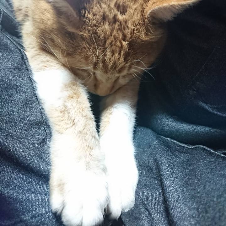 1e4343a1 77a3 4d20 aefd c52bf398c2ff 1580535357664