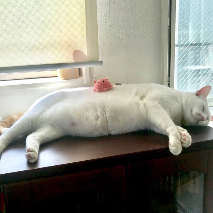 1e434459 12fe 4c56 9789 697336f71c7e 1569333134134