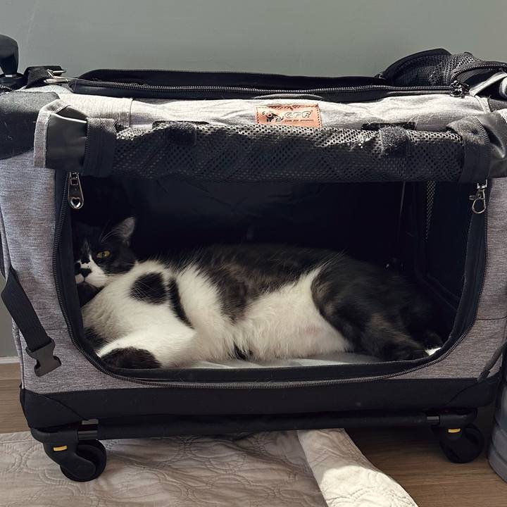 1e435b37 1ea0 4c97 b5fd 97b1c37139f0 1753761736514