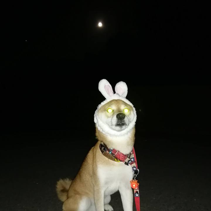 1e4377cf eb1d 40e7 b9b0 214b1e2a846f 1662807944789