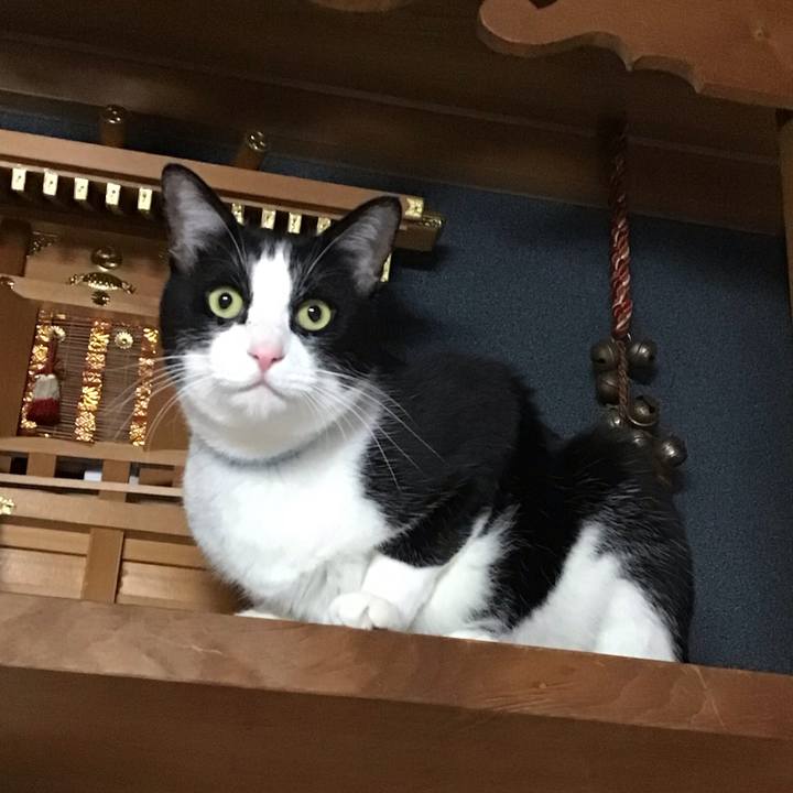 1e438c8d 1f0d 4555 b099 51772895d8c3 1733561648990