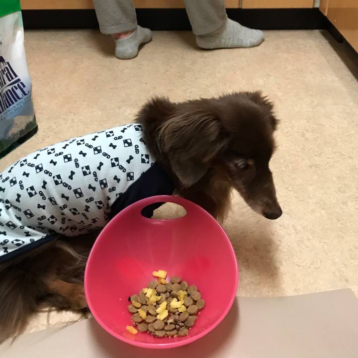 1e438fb8 a8a5 4698 8eb2 48af8d09c14a 1553341626076