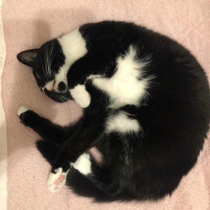 1e4394c8 3080 4cea 9f77 7623a5b25433 1564960298666